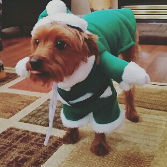 Meet your Posher, Steve - Picture 2 of 7